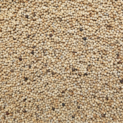 ORGANIC PEPPERCORN, white, whole